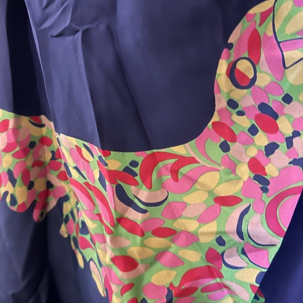 🐦 🦜 Lilly Pulitzer rare reversible two in one dress size medium BOOTY CAW - Picture 8 of 10